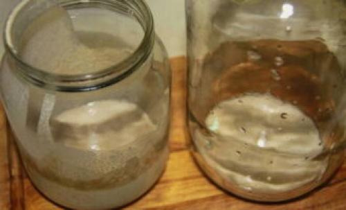 Вечная закваска для хлеба без дрожжей в домашних условиях из пшеничной муки. Закваска для хлеба – 10 рецептов в домашних условиях