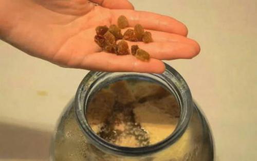 Как поставить квас в домашних условиях на хлебе без закваски. Квас из хлеба с дрожжами в домашних условиях