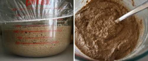 Как сделать дрожжи в домашних условиях. Как сделать сухие отрубяные дрожжи в домашних условиях: три базовых этапа