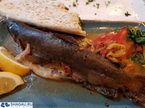 Недорогие и вкусные рестораны Еревана: где и что есть 20