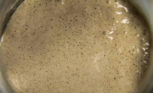 Закваска для хлеба без дрожжей в домашних условиях. Закваска для хлеба – 10 рецептов в домашних условиях