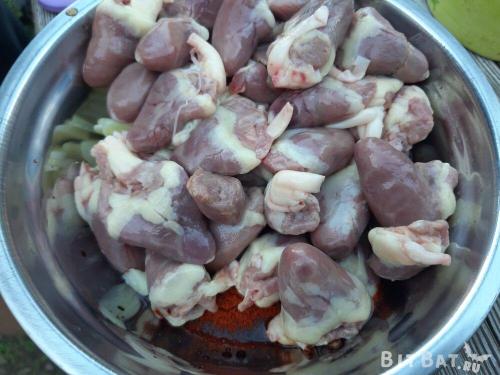 Шашлык из куриных сердечек на мангале. Куриные сердечки на мангале: рецепты маринада для шашлыка из сердечек