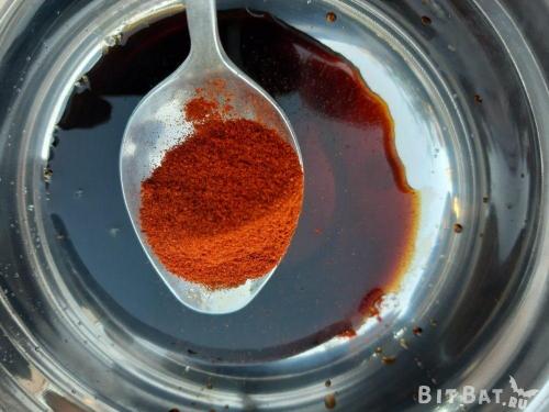 Шашлык из куриных сердечек на мангале. Куриные сердечки на мангале: рецепты маринада для шашлыка из сердечек