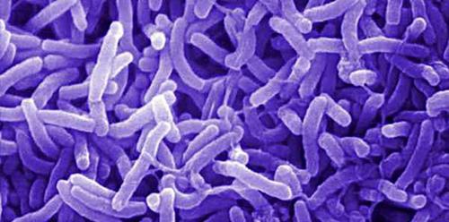 Ржаной хлеб на домашней Закваске. Рецепт «Ржаной хлеб на бездрожжевой закваске»: 07 Ржаной хлеб на домашней Закваске. Рецепт «Ржаной хлеб на бездрожжевой закваске»: 07