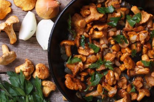 Какие грибы лучше использовать для этого рецепта. 20 вкусных блюд из грибов, которые разнообразят твое меню