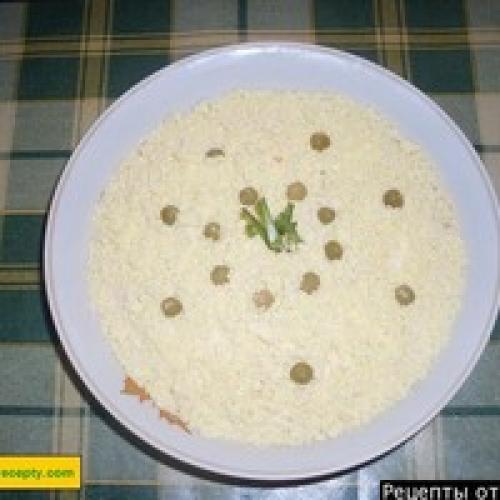 Салат с сардиной консервированной в томатном соусе. Блюда из консервированной сардины - 14 домашних вкусных рецептов приготовления 07 Салат с сардиной консервированной в томатном соусе. Блюда из консервированной сардины - 14 домашних вкусных рецептов приготовления 07