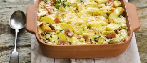 Какие виды лесных грибов можно использовать для приготовления запеканки. Грибная запеканка – 5 сочных рецептов