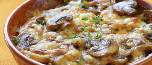 Какие виды лесных грибов можно использовать для приготовления запеканки. Грибная запеканка – 5 сочных рецептов