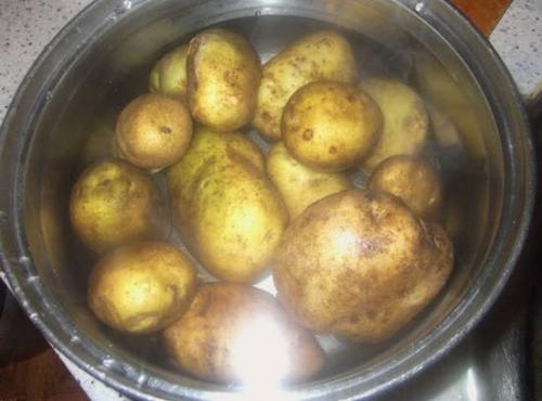 Как долго готовится картофельная запеканка с говяжьим языком и лесными грибами. Картофельная запеканка с консервированными грибами