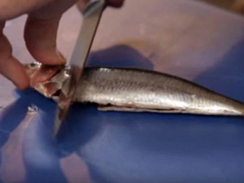 Спагетти с сардиной в томатном соусе. Паста с сардинами 09 Спагетти с сардиной в томатном соусе. Паста с сардинами 09