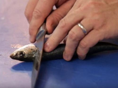 Спагетти с сардиной в томатном соусе. Паста с сардинами 10 Спагетти с сардиной в томатном соусе. Паста с сардинами 10