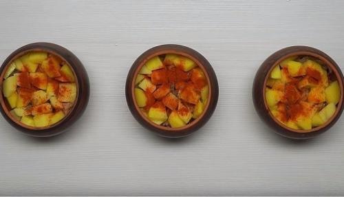 Картошка с мясом в духовке - пошаговый рецепт. Пошаговый рецепт картофеля с мясом в горшочках