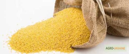 Пшенная каша на сковороде. Пшенная каша жареная