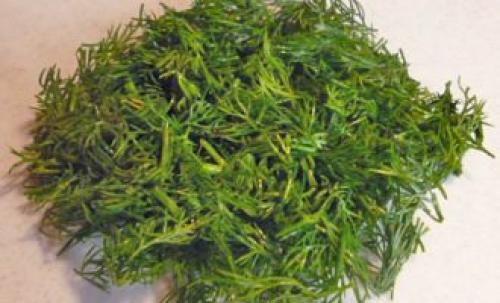 Куриные котлеты рубленые сочные рецепт. Сочные рубленые котлеты на сковороде из куриных грудок