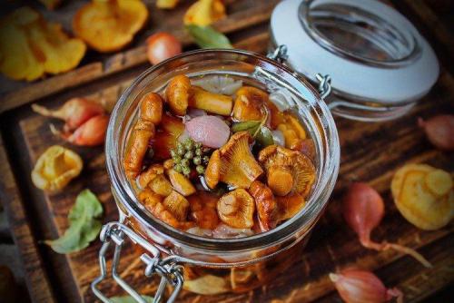 Какие виды грибов можно использовать для этого рецепта. 20 вкусных блюд из грибов, которые разнообразят твое меню