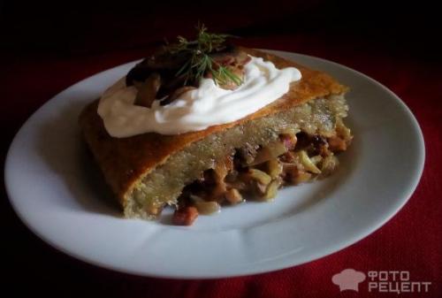 Как правильно приготовить драники с салом в духовке. Рецепт: Картофельная бабка - дранка с грибной начинкой и салом - в духовке