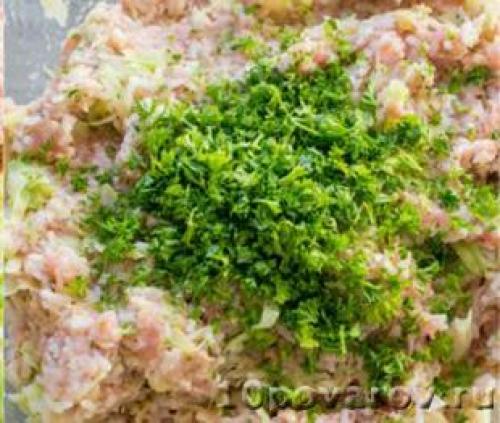 Куриные котлеты с капустой в духовке. Диетические куриные котлеты с капустой в духовке