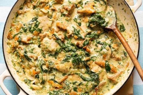 Какие виды грибов можно использовать для приготовления куриной грудки с грибами. 15 бесподобных рецептов курицы с грибами на сковороде