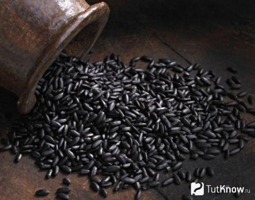 Вкусный и полезный: черный рис с овощами и креветками 15 Вкусный и полезный: черный рис с овощами и креветками 15