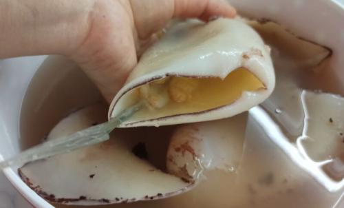 Фаршированные кальмары с рисом и сыром. Фаршированные кальмары с грибами и рисом: вкусный рецепт с сыром