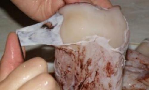 Фаршированный кальмар с грибами. Кальмары фаршированные грибами