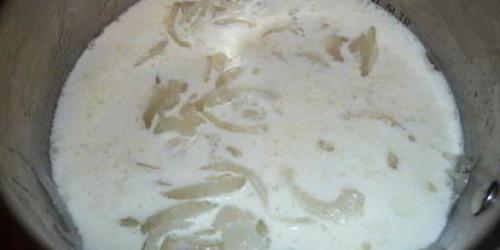 Завтрак на скорую руку: рецепт кальмаров в сырном соусе 13 Завтрак на скорую руку: рецепт кальмаров в сырном соусе 13