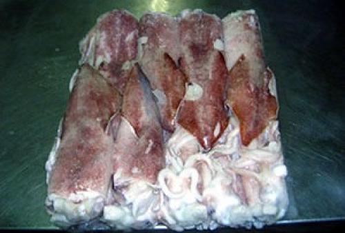 Вкусные и быстрые: рецепт фаршированных кальмаров в духовке 17