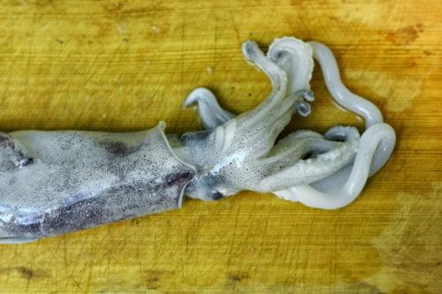 Как правильно готовить кальмара с сыром в духовке. Кальмары фаршированные с сыром запеченные в духовке