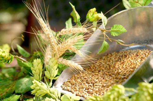 Как делают пиво из порошка и мифы о нём. Мифы о пиве из порошка 05 Как делают пиво из порошка и мифы о нём. Мифы о пиве из порошка 05