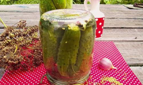 Тот самый рецепт огурцов с горчицей без сахара. Огурцы с горчицей на зиму