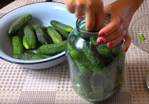 Как долго хранятся огурцы с горчицей без сахара. Огурцы, как бочковые с горчицей в банках на зиму (хрустящие и очень вкусные)