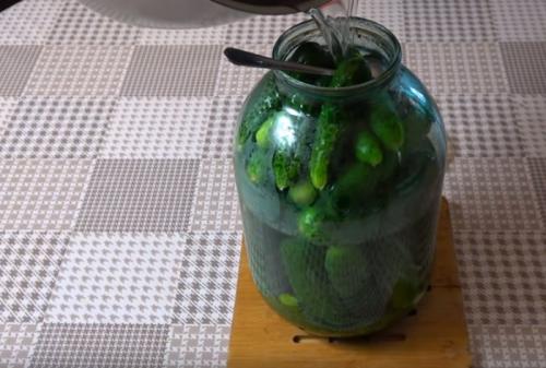 Как долго хранятся огурцы с горчицей без сахара. Огурцы, как бочковые с горчицей в банках на зиму (хрустящие и очень вкусные)