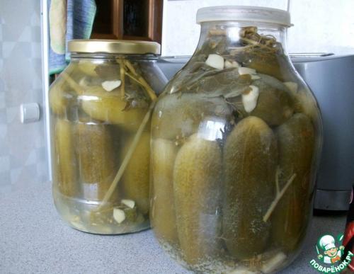 Как хранить консервированные огурцы без уксуса. Огурцы без уксуса