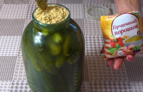 Как долго хранятся огурцы с горчицей без сахара. Огурцы, как бочковые с горчицей в банках на зиму (хрустящие и очень вкусные)