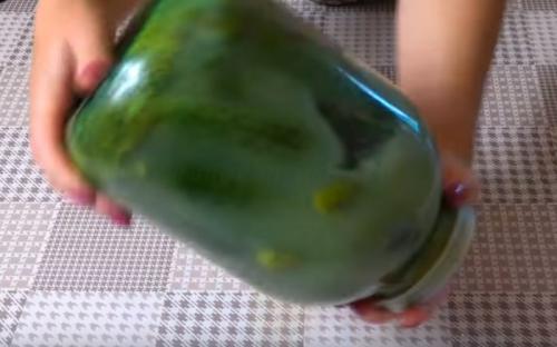 Как долго хранятся огурцы с горчицей без сахара. Огурцы, как бочковые с горчицей в банках на зиму (хрустящие и очень вкусные)