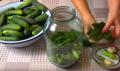 Как долго хранятся огурцы с горчицей без сахара. Огурцы, как бочковые с горчицей в банках на зиму (хрустящие и очень вкусные)