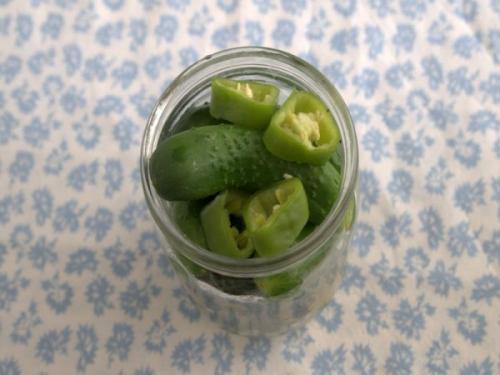 Вкусные и полезные: рецепт барских огурцов без сахара и уксуса 08