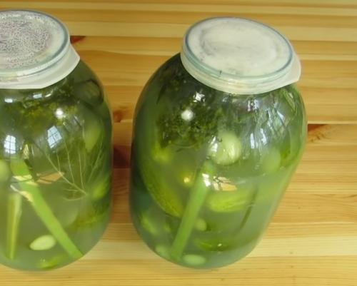 Засолка огурцов без кипятка. Солёные огурцы на зиму в банках холодным способом — 5 рецептов хрустящих огурцов
