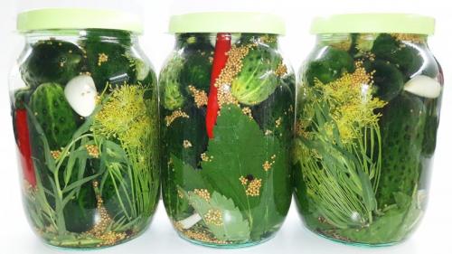 Вкусные огурцы без стерилизации и уксуса: рецепты на зиму 21 Вкусные огурцы без стерилизации и уксуса: рецепты на зиму 21