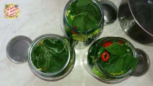 Какие приправы можно использовать для придания вкуса огурцам на зиму без стерилизации и уксуса. Пикантные огурцы на зиму без уксуса и стерилизации