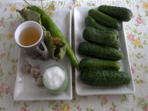 Вкусные и полезные: рецепт барских огурцов без сахара и уксуса 01