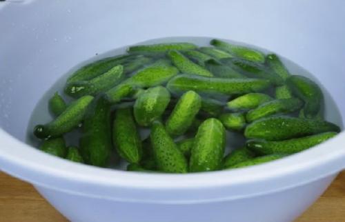 Можно ли использовать другие виды огурцов для приготовления маринада без сахара на 1 литр воды. Маринованные огурцы в банке без стерилизации