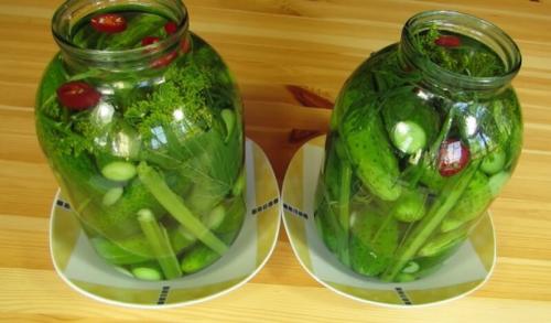 Засолка огурцов без кипятка. Солёные огурцы на зиму в банках холодным способом — 5 рецептов хрустящих огурцов