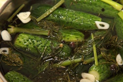 Какие ингредиенты нужны для приготовления маринада для огурцов на зиму. 15 быстрых рецептов рассола для огурцов на зиму