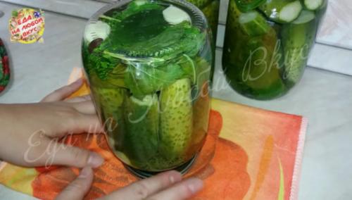 Какие приправы можно использовать для придания вкуса огурцам на зиму без стерилизации и уксуса. Пикантные огурцы на зиму без уксуса и стерилизации