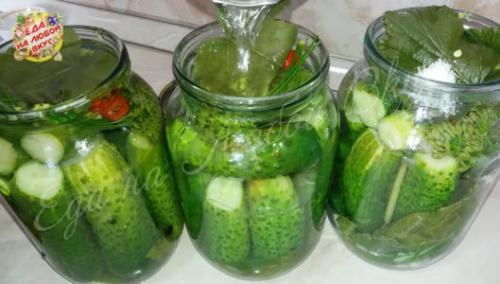 Какие приправы можно использовать для придания вкуса огурцам на зиму без стерилизации и уксуса. Пикантные огурцы на зиму без уксуса и стерилизации