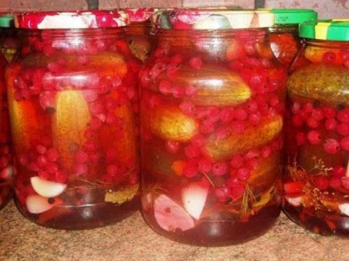 Какие ингредиенты можно использовать вместо сахара при консервации огурцов. 5 лучших рецептов маринованных огурцов без добавления сахара