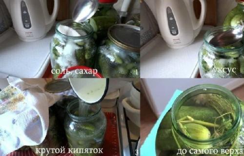 Можно ли использовать другие виды огурцов для приготовления маринада без сахара на 1 литр воды. Маринованные огурцы в банке без стерилизации