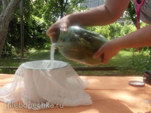 Ферментированные огурцы без соли рецепт. Способ приготовления