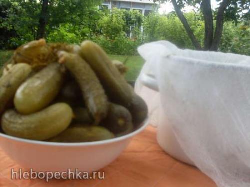 Ферментированные огурцы без соли рецепт. Способ приготовления
